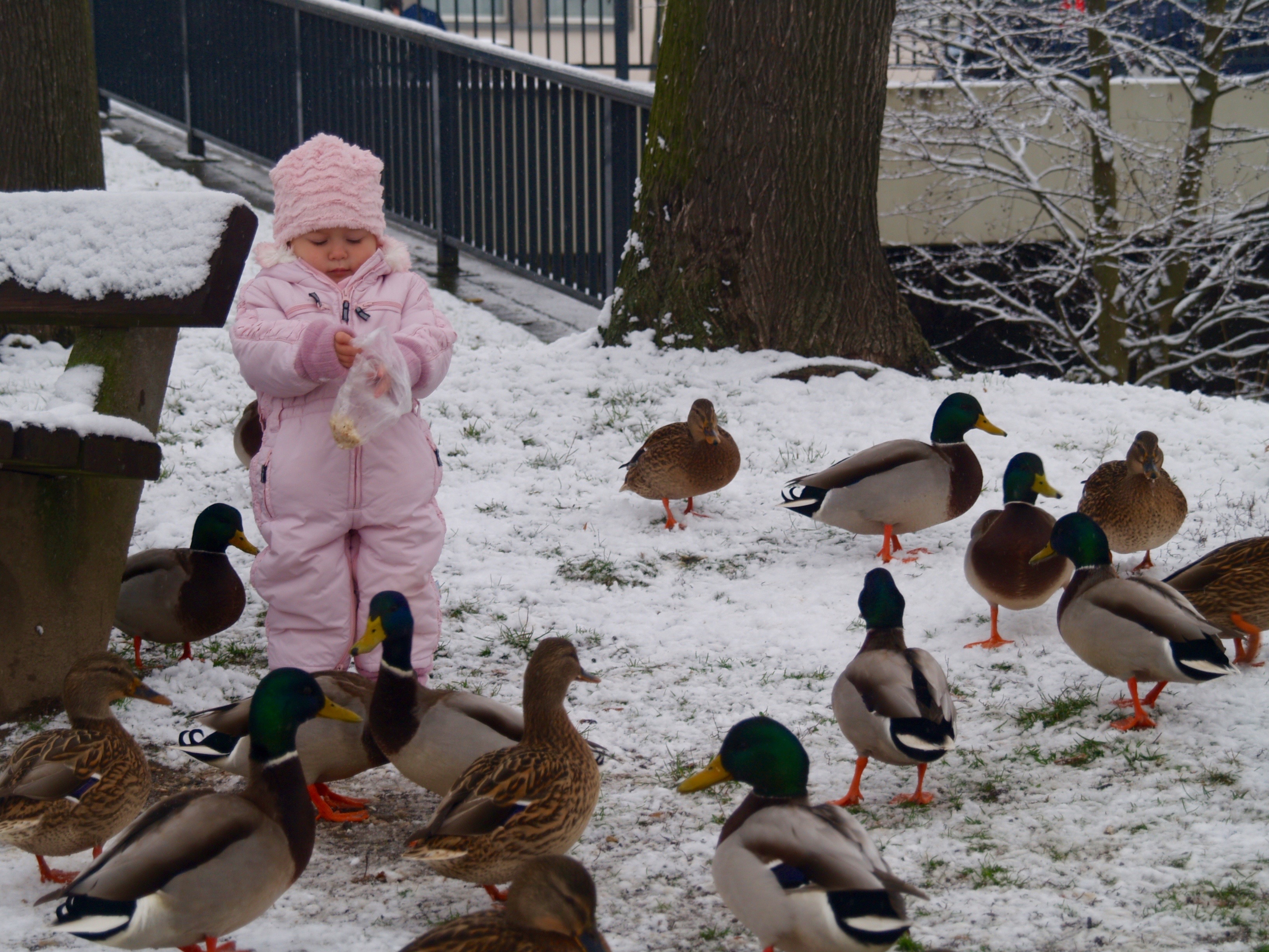 Wichtige Änderungen 2005 Baufinanzierung & Versicherungen Caren Lässig